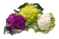 Tris of Fresh cauliflower Royalty Free Stock Photo