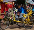 Trishaw 'From the past to the Future'