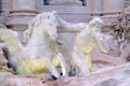 Triton and Winged Horse on the Trevi Fountain in Rome Royalty Free Stock Photo