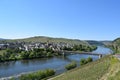 Trittenheim, Germany - 06 01 2021: Steillagen, Mosel bridge and village Trittenheim