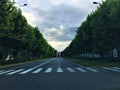 Triumphal Arch at Parco del Valentino central Turin city, street and trees