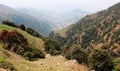 Triund Mountain. Himalaya. India