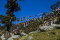 Triund top, Dharamshala, Himachal Pradesh Royalty Free Stock Photo