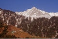 Triund Trekking route Kangra HImalayas India