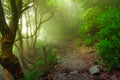 Triund trekking trail Royalty Free Stock Photo