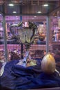 TriWizard cup and golden egg display Royalty Free Stock Photo