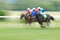 Horse racing in Chuchle Royalty Free Stock Photo