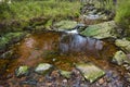 Tro Maret River, Ardennes, Belgium Royalty Free Stock Photo