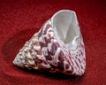 Trochus Maculatus Seashell on Red Sand Royalty Free Stock Photo
