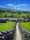 The trod from Grassington to Linton Falls