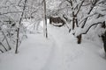 The trodden path in the winter snow-covered garden.