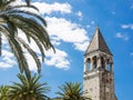 Trogir, Croatia: Dominican monastery and palm trees Royalty Free Stock Photo