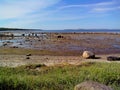 Troitsk pier near the Holy Trinity Anzersky skete of the Solovki monastery on the Anzersky island, the Solovki islands Royalty Free Stock Photo