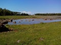 Troitsk pier near the Holy Trinity Anzersky skete of the Solovki monastery on the Anzersky island, the Solovki islands, Royalty Free Stock Photo