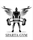 Trojan gym. Sparta gym