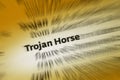 Trojan Horse - computer program designed to breach security