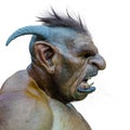 Troll profile id side view