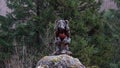 Wood carved troll at Trollstigen road near Andalsnes in Norway in autumn