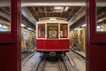 trolley carriage assembly viewed from inside garage