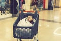 A trolley with products in which the child sits. Full cart with food in the supermarket. In the cart sits a baby. toned Royalty Free Stock Photo