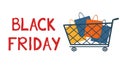 Trolley and shopping bags on white background. Vector illustration with text black friday Royalty Free Stock Photo