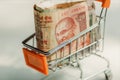 Trolley in a supermarket full of Indian banknotes. Selective focus on a portrait of Mahatma Gandhi on currency of India Royalty Free Stock Photo