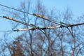 Trolleybus wires against the blue sky Royalty Free Stock Photo