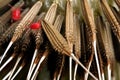 Trombidium holosericeum on dandelion seeds Royalty Free Stock Photo