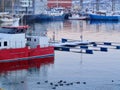 Tromso harbor Royalty Free Stock Photo