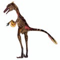 Troodon Dinosaur Tail Royalty Free Stock Photo