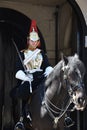 Trooper of the Blues and Royals.