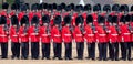 Trooping the Colour ceremony at Horse Guards Parade, Westminster, London UK, with Household Division soldiers.