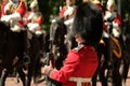 Trooping the Colour ceremony, London UK. Soldier stands to attention. Royalty Free Stock Photo