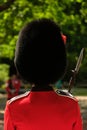 Trooping the Colour ceremony, London UK. Soldier in busby photographed from behind. Royalty Free Stock Photo