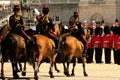 Trooping the Colour ceremony, London UK. Three horses standing in foreground Royalty Free Stock Photo