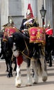 Trooping the colour watercolour Royalty Free Stock Photo