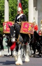 Trooping the colour watercolour Royalty Free Stock Photo