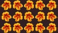 Tropaeolum majus pattern, ideal footage for themes such as fashion, nature, botany and other themes concerning flowers