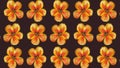 Tropaeolum majus pattern, ideal footage for themes such as fashion, nature, botany and other themes concerning flowers