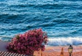 Tropea beach, Calabria, Italy Royalty Free Stock Photo