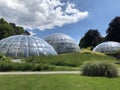 Tropenhaus - Botanical Garden of the University of Zurich or Botanischer Garten der Universitaet Zuerich Royalty Free Stock Photo