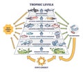 Trophic levels in water wildlife as ocean food chain pyramid outline diagram