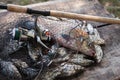 Trophy fishing. Freshwater bream fish and silver bream in landing net with fishery catch in it and fishing rod with reel Royalty Free Stock Photo