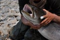 Trophy fishing on siberian taimen on the taiga river