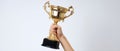 The trophy held high in celebration of victory and achievement AI generated image Royalty Free Stock Photo