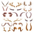 Horns collection with colorful hunting trophies of animals