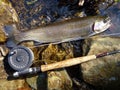 Trophy Trout Caught on a Flyrod Royalty Free Stock Photo