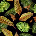 Tropial leaves pattern