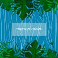 Tropic banner. Design template. Tropical frame. Exotic leaves frame with blank space on blue water background. Advertisement, flye