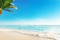 Tropic Beach with Palm Background. Summer Holiday Tropical Travel Resort. Paradise Beach Vacation. Background with Palm Tree Sand